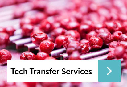 Transfer Services