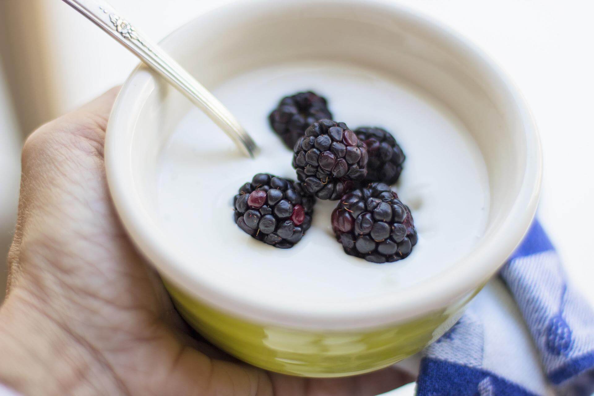 Probiotic Yogurt Production Using Kefir Starter Culture